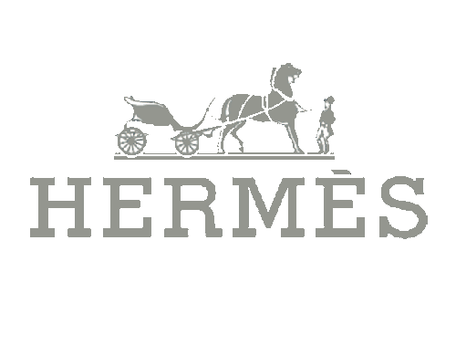 Logotipo Hermes Retail