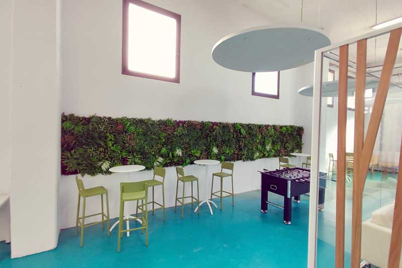 La Vegetación y Plantas en la Oficina | Prodeca Barcelona